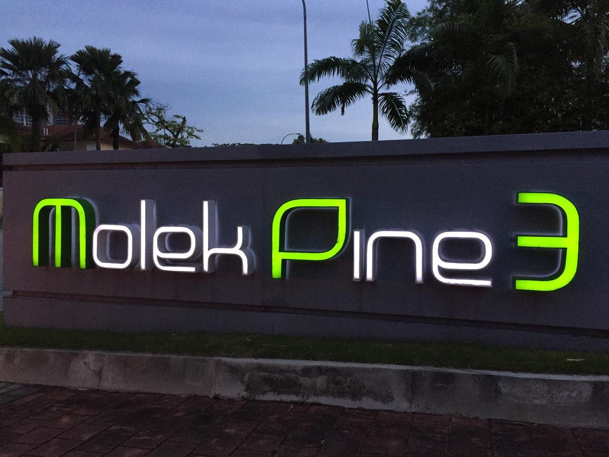 Molek Pine 3